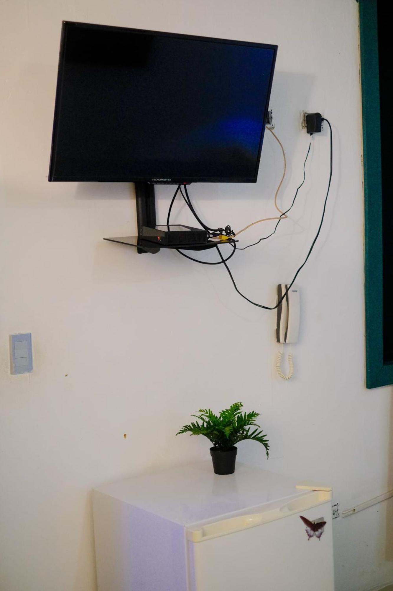 Hostel Gato Colonial 聖多明哥 外观 照片