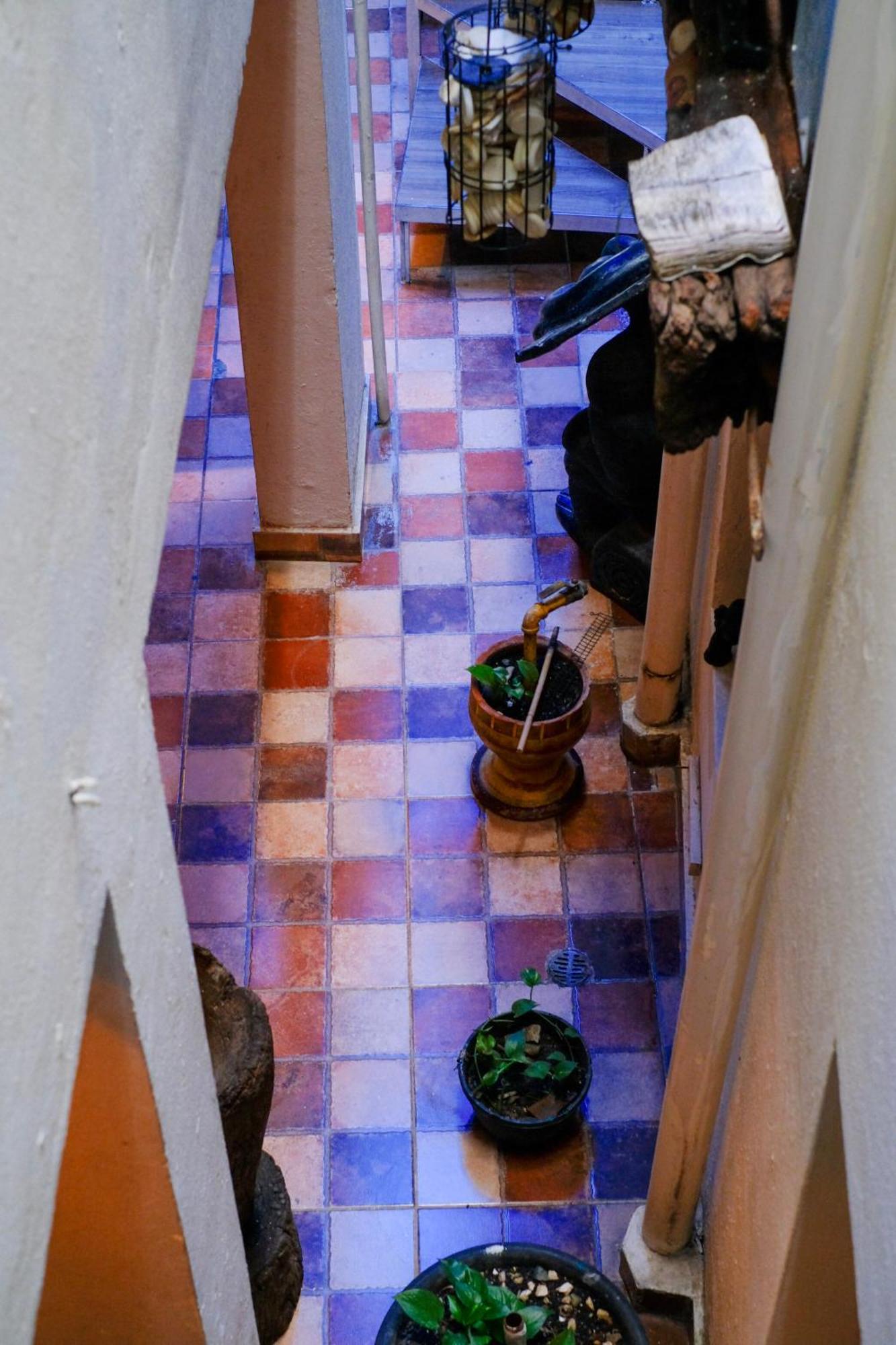 Hostel Gato Colonial 聖多明哥 外观 照片