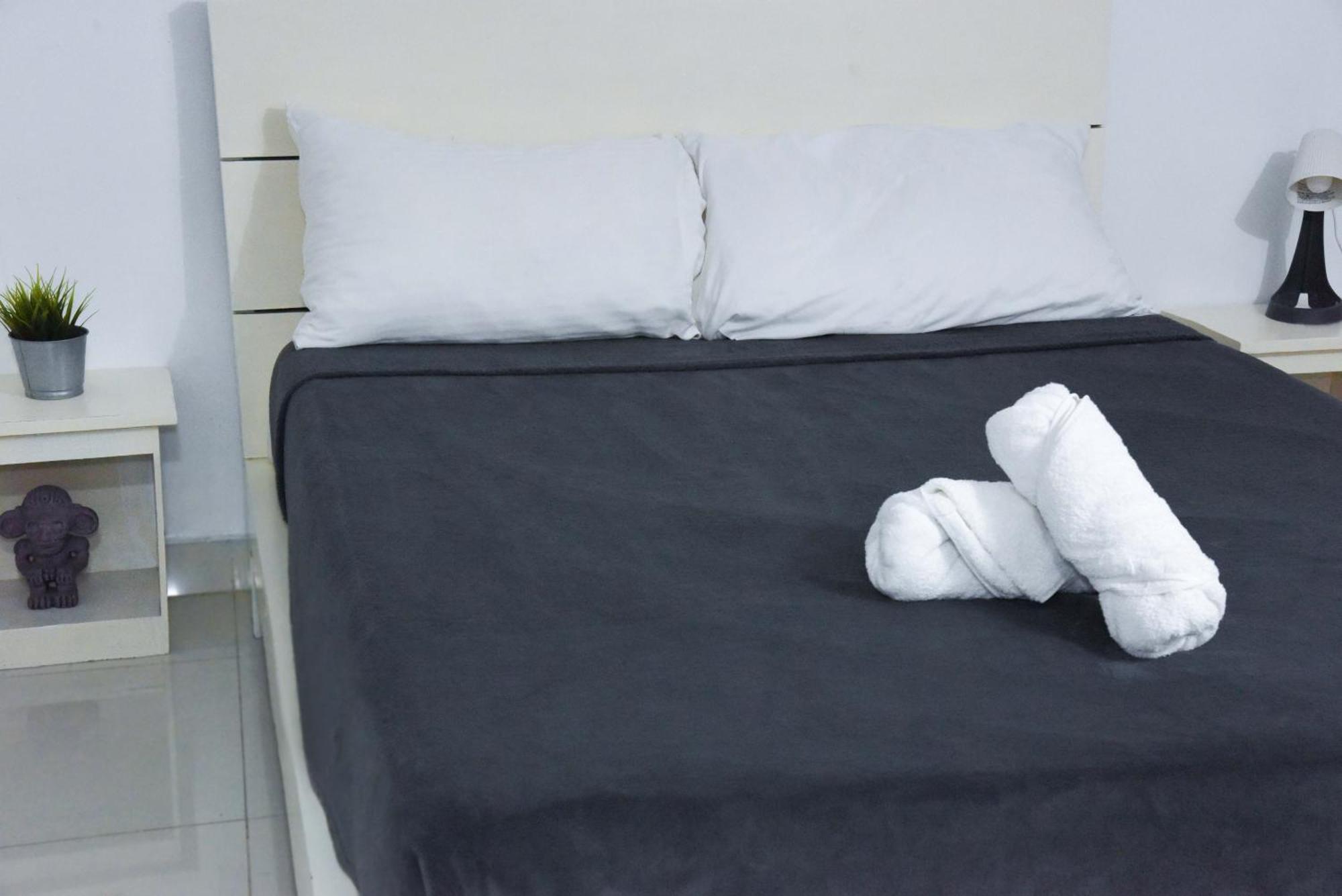 Hostel Gato Colonial 聖多明哥 外观 照片