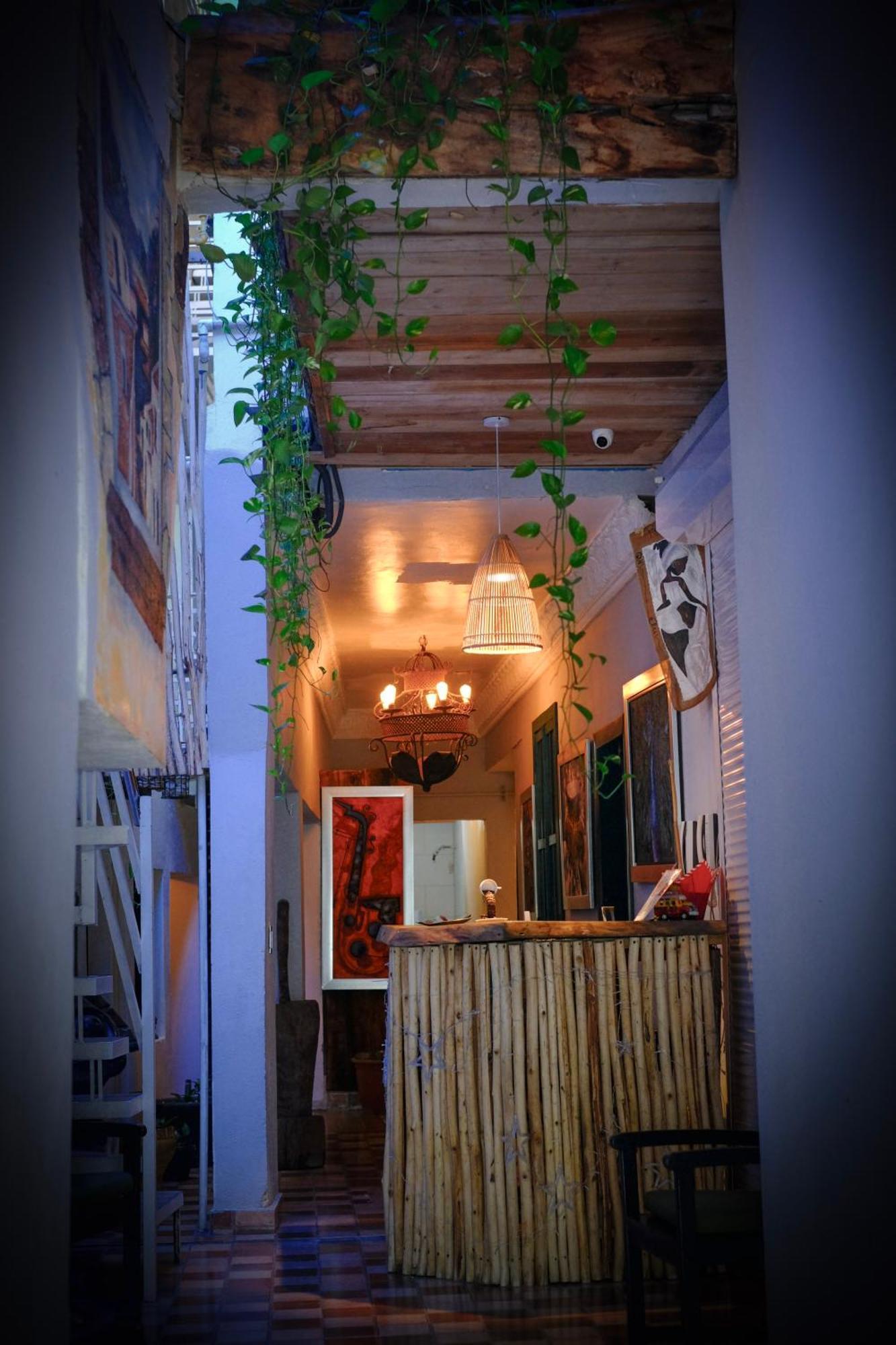 Hostel Gato Colonial 聖多明哥 外观 照片